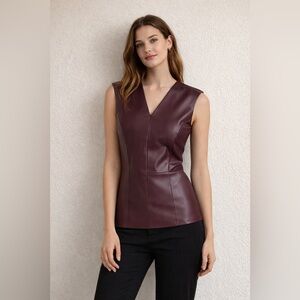 Ann Taylor Dark Burgundy V-Neck Blouse